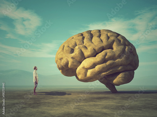 Conceptual image of a large stone in the shape of the human brain
