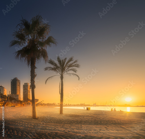 Dramatic sunrset on beach of Barcelona with palm