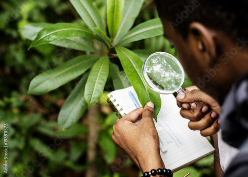 Biologist in a forest