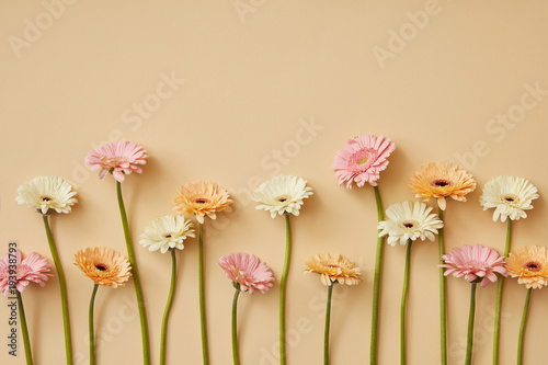 Composition from different gerberas on a yellow paper background.