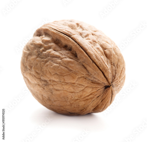 single walnut in shell isolated on white background