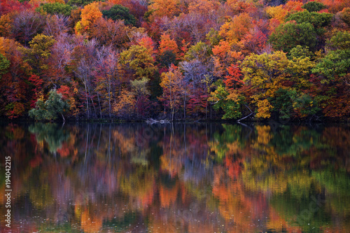 Fall colors in Quebec, Canada