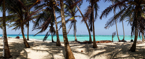 Caribbean Beach with Palm Trees on the San Blas Islands between Panama and Colombia.