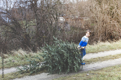 young boy is pulling an old christmas tree for knut