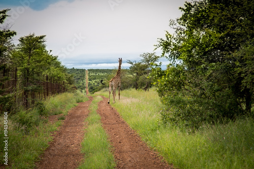 Südafrika, Gremze zu Mozambique