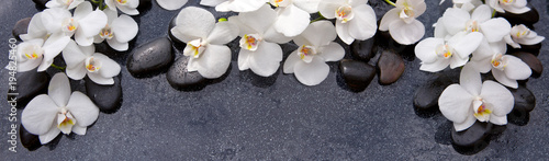 Spa background with white orchid and black stones.