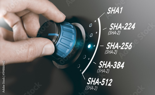 Cryptography Concept, Cryptographic Hash Algorithm SHA-2