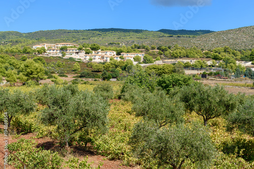 View of beautiful Zakynthos island. Rural landscape, olive trees and traditional Greek houses. Greece.