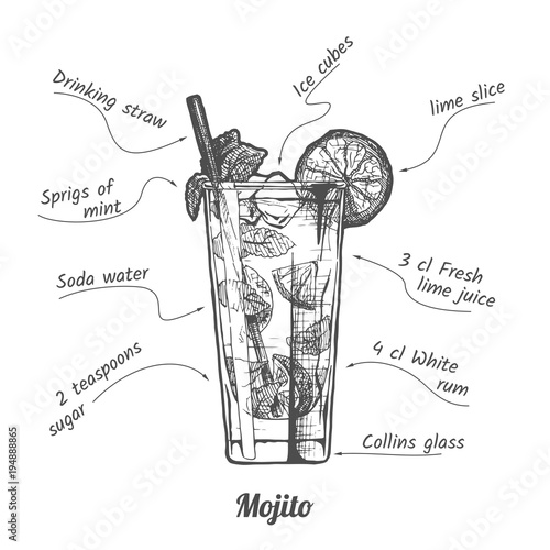 cocktail mojito and its ingredients