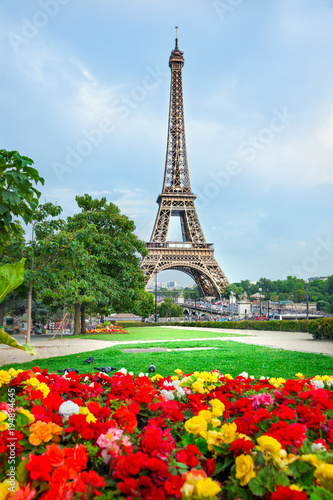 Flowers and Eiffel tower