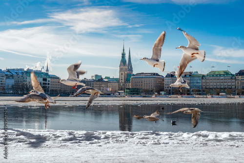 Hamburg Alster im Schnee / Winter mit Möwen und blauem Himmel 