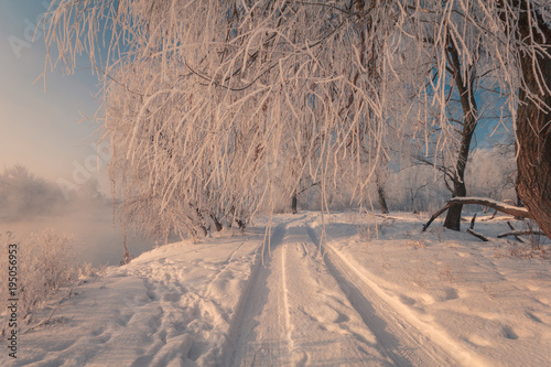 Snowy road along a foggy river bank. Winter sunrise landscape with snowy road and frosty branches.