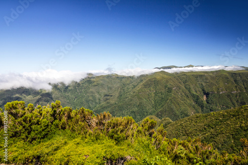 Green hills, Madeira island nature, Portugal
