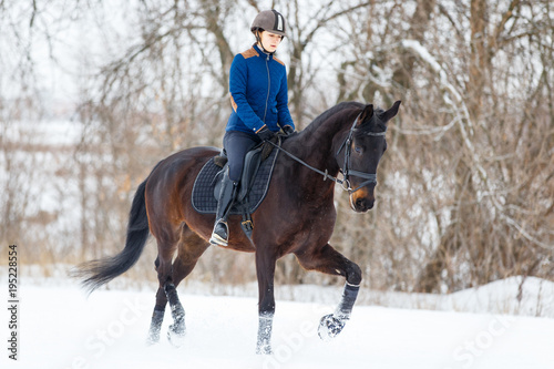 Young rider girl on bay horse walking on snowy field in winter. Winter equestrian activity background with copy space