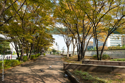 大阪堂島の遊歩道