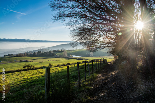 Paysage de la campagne française - Monts du lyonnais