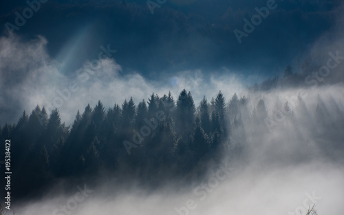 Foresta nelle dolomiti avvolta dalla nebbia e dalla luce del sole in una giornata limpida