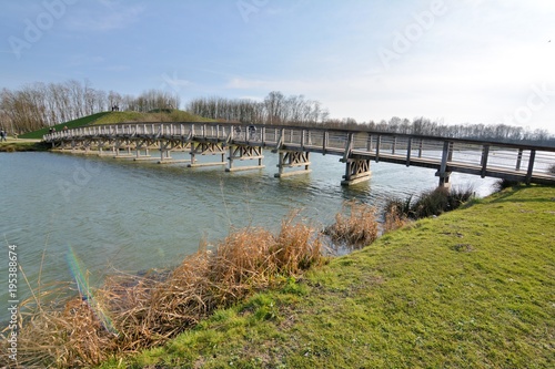 joli pont de bois au-dessus d'un étang