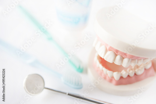 デンタルケア 歯科 歯磨き 健診