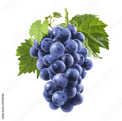 Fresh blue grapes bunch isolated on white background