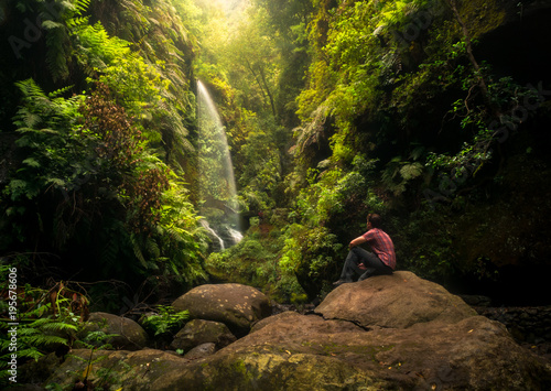 Waterfall on the island of La Palma - Los Tilos forest // Cascada - bosque de Los Tilos