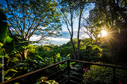 Costa Rican Sunrise