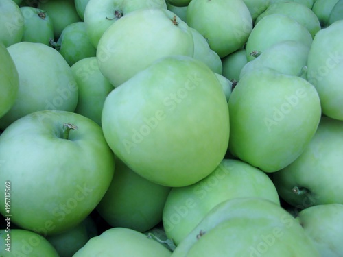 Lodi early-season apples, best used for cooking. Okanagan Valley, BC, Canada