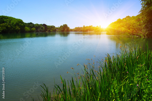 Lake water and sun