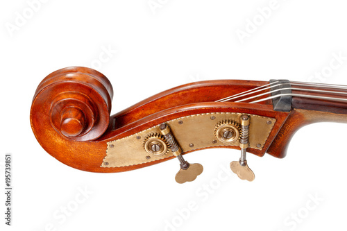 Pegbox, scroll and tuning keys of a contrabass