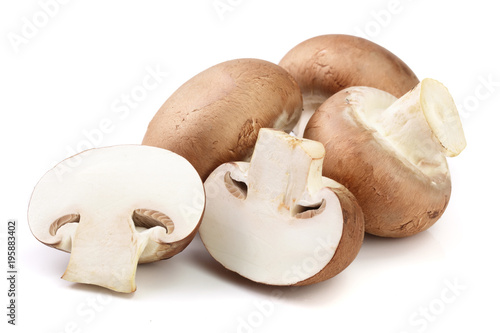 Royal Brown champignon with half isolated on white background