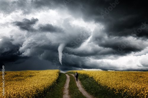 Einsamer Mensch auf dem Rapsfeld geht Richtung Tornado