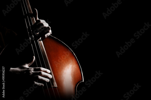 Double bass. Hands playing contrabass player