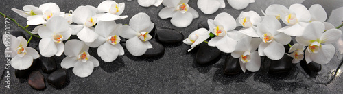 White orchids flowers and spa stones .