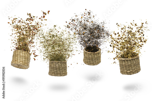 straw baskets with variety of tea blend flying on white background