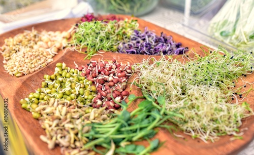 Growing vegetables in a wooden tray