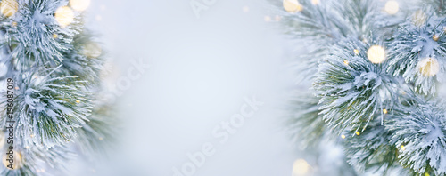 Christmas decoration banner. Snowy pine branch under snow with Christmas lights