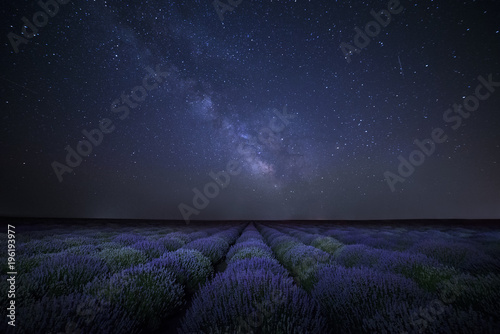 The Milky Way galaxy rising above lavender field