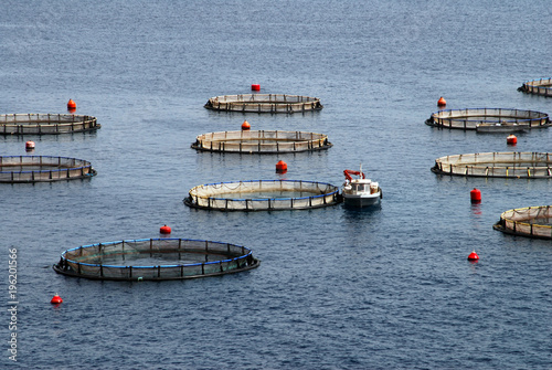 The aquaculture settlement or fish-farming around the bays of Kalymnos island. Dodecanese islands, Greece.
