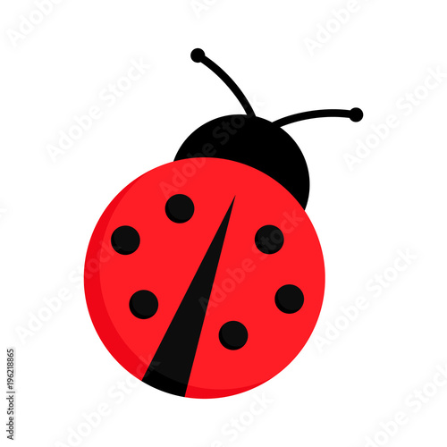 Ladybug or ladybird vector graphic illustration, isolated. Cute simple flat design of black and red lady beetle.