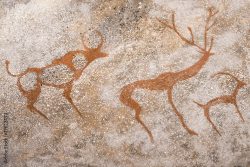An image of ancient animals on the wall of the cave by an ancient man. ancient history. archeology.