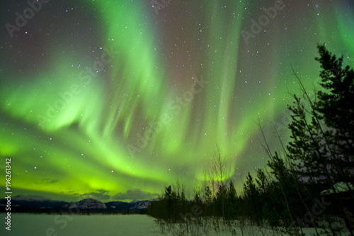Aurora Borealis, Yukon, Canada