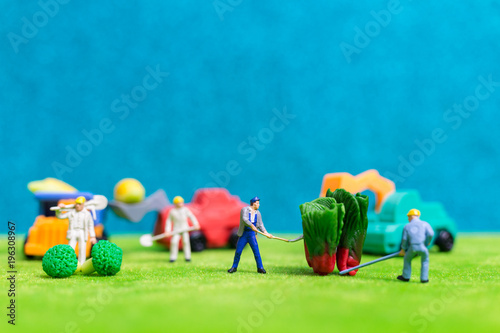 Miniature people : Farmers harvesting a vegetables , Agriculture concept 