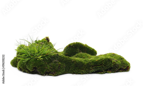 Green mossy hill and grass isolated on white background and texture