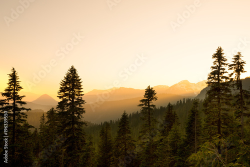 Panoramic view of Mount Rainier National Park, Washington State, USA