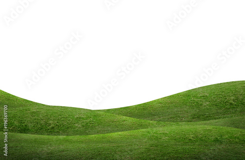 Green grass hill background isolated on white. Outdoor of green meadow background.