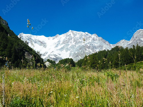 East face of Monte Rosa in Macugnaga, summer day Piedmont Alps, Italy