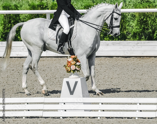 Elegant rider woman and white horse. Beautiful girl at advanced dressage test on equestrian competition. Professional female horse rider, equine theme. Saddle, bridle, boots and other details.