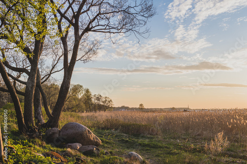 Golden hour spring park landscape, Park Aleksandria, Saint-Petersburg