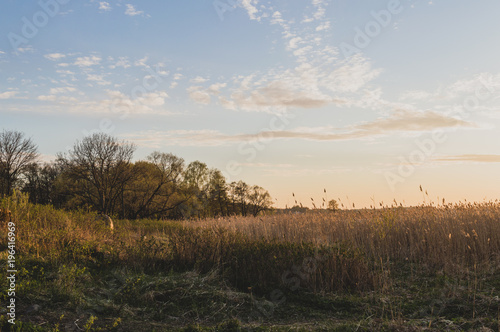 Golden hour spring park landscape, Park Aleksandria, Saint-Petersburg