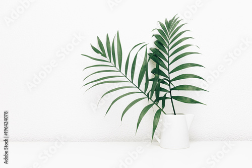 Minimal empty space, stylish hipster background with green tropical leaves in jar